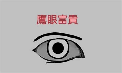 鷹眼 面相|解析面相中的「鷹眼」